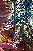 Purgatory Chasm 22 x 28