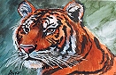 Tiger (SOLD)